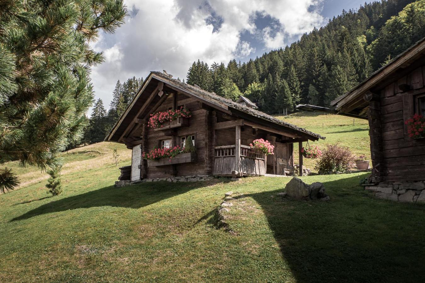 La Ferme Des Vonezins Hotel Thônes Екстериор снимка