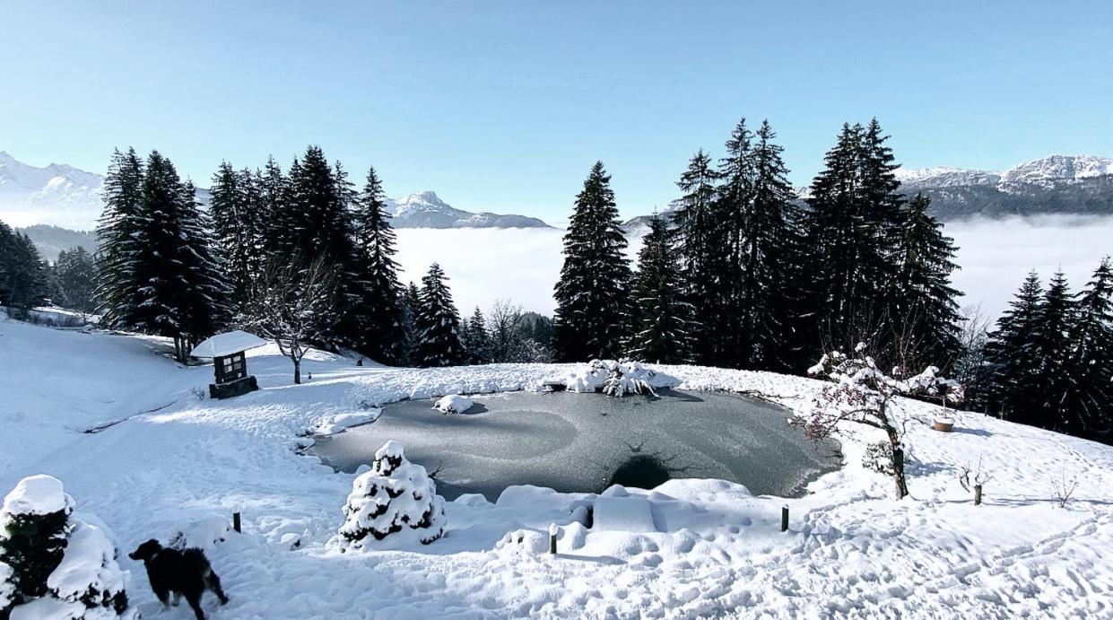 La Ferme Des Vonezins Hotel Thônes Екстериор снимка