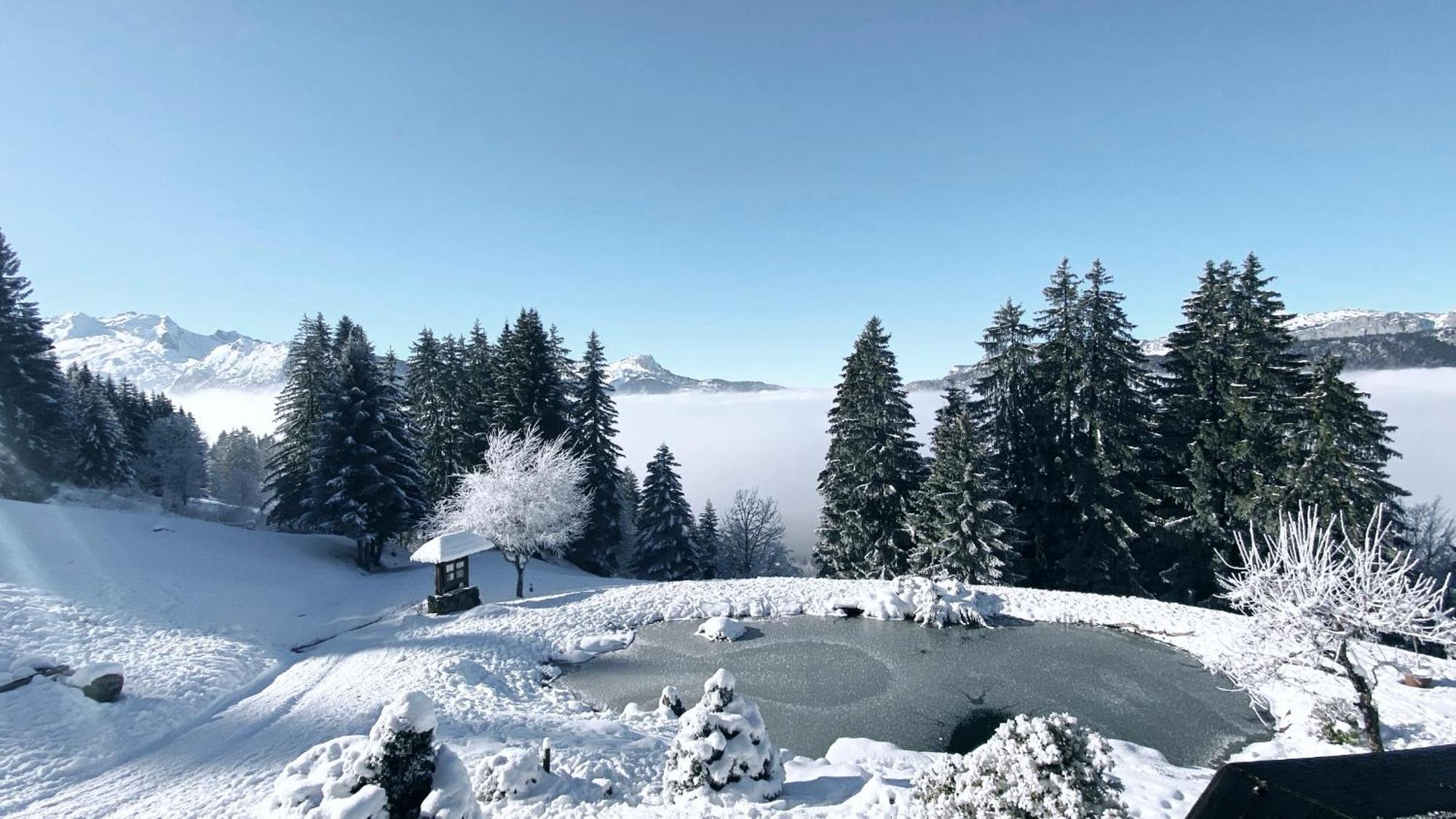 La Ferme Des Vonezins Hotel Thônes Екстериор снимка