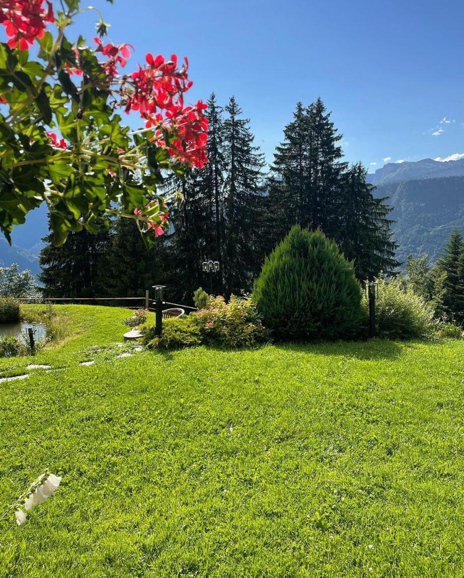 La Ferme Des Vonezins Hotel Thônes Екстериор снимка